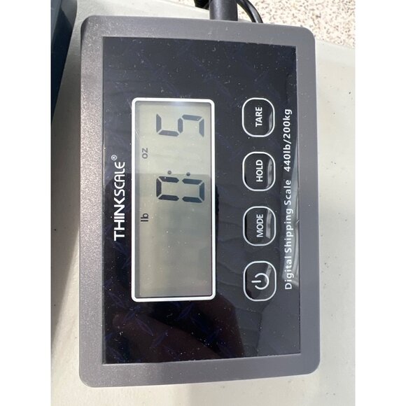 Next Level Apparel Montana Billings 406 Graphic Tee Size XL Bull Horns Tee Green - Picture 6 of 7